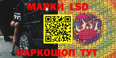шишки Канаш