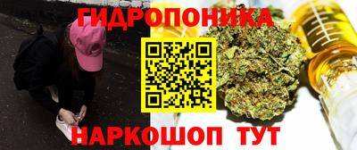 круглые Кимры