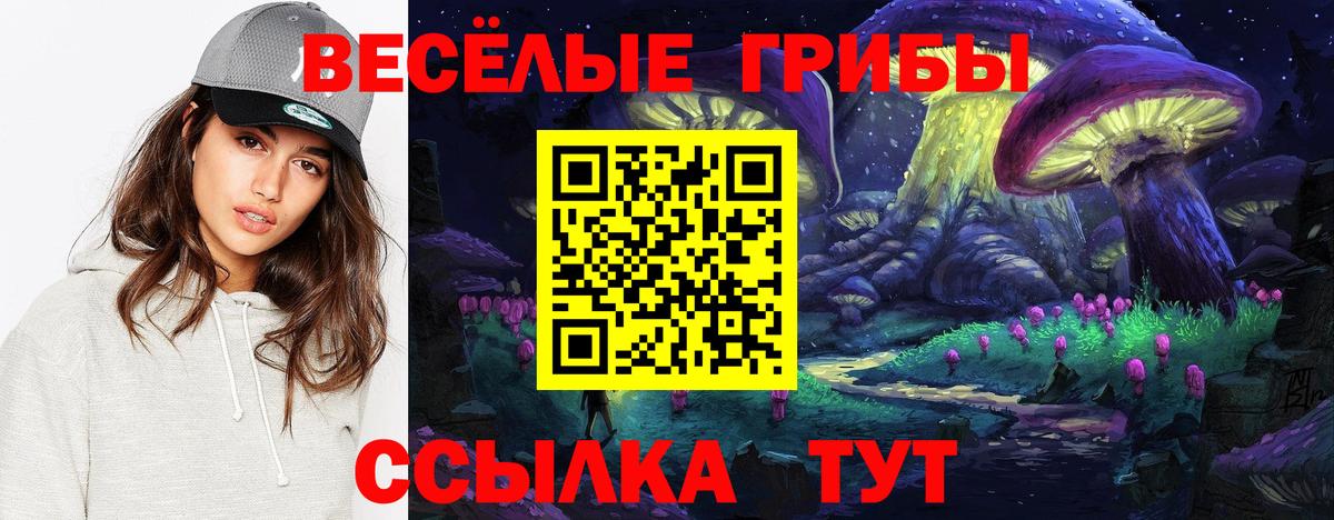 Псилоцибиновые грибы Psilocybine cubensis Барабинск
