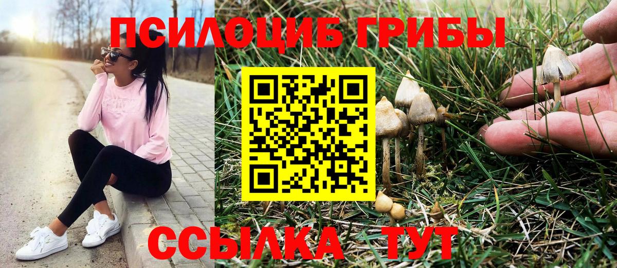 Псилоцибиновые грибы мухоморы  Вход с VPN  Псилоцибиновые грибы GOLDEN TEACHER  Барабинск 